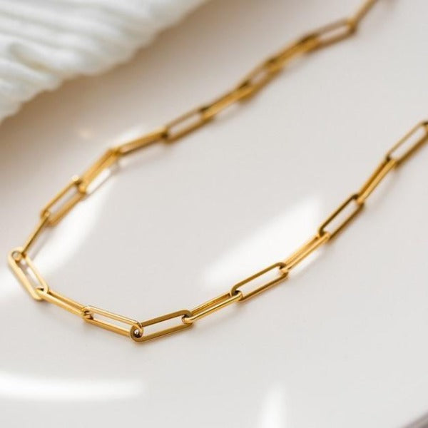 Compagnon - N14 - ELIORA